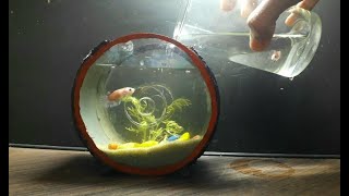 How To Make An Aquarium Using Old Cdsdiy Cd Aquarium  Technpets 