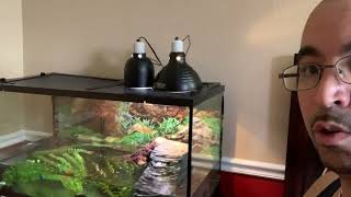 Thrive turtle tank set up #turtle #terrapin #tanksetup #aquarium #diamondbacks