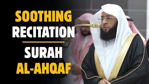 تلاوت زیبای سوره احقاف شیخ بدر ترکی | #بدر_الترکی