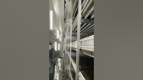 White button mushroom growing equipment Ⅲ ——watering tree