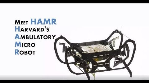 Harvard University Build A Robot ll HAMR (Harvard Ambulatory Micro Robot)