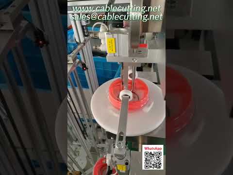 Automatic Blister Winding and Packaging Machine for Trimmer Line