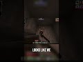 Base Building Iron Ore Agility Level Up Coal Hunt Base Building Iron Ore Agility Level Up Coal Hunt