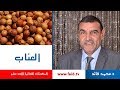 Dr faid | العناب | الفواكه الجافة | المكونات الغذائية الأحد عشر| دكتور محمد فائد