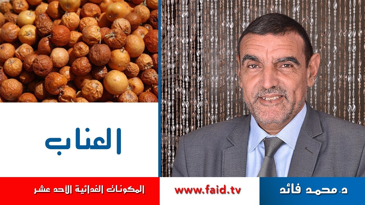 Dr faid | العناب | الفواكه الجافة | المكونات الغذائية الأحد عشر| دكتور محمد فائد