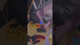 OH YOON HEE - CHEON SEOJIN - SHIM SU RYEON