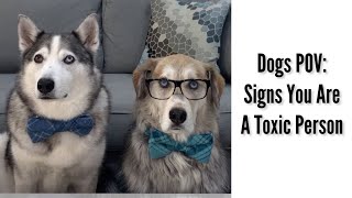 Dogs POV: Signs You’re A Toxic Person