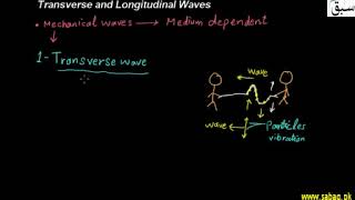 Transverse And Longitudinal Waves | Swap Education