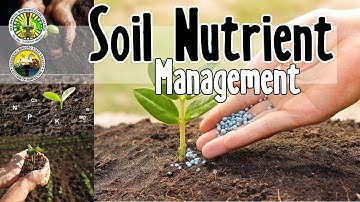 Soil Nutrient Management // Lecture Discussion for BSA 2