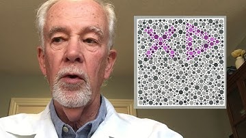 Jim Bailey HRR Video Part2 June 2020