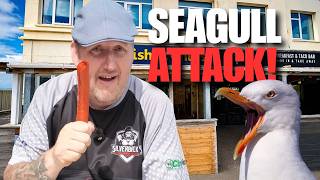 I Got Attacked By Seagulls In Cornwall!
