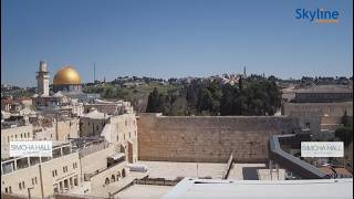 🔴 LIVE Jerusalem Now | Western Wall Real-Time Cam | SkylineWebcams