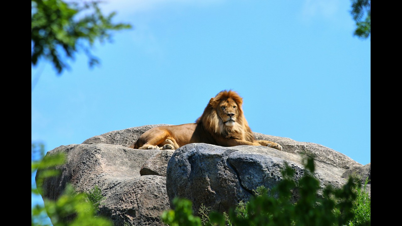 Jude   | Gospel R&B | Brother of Jesus tell believers to contend for the faith.