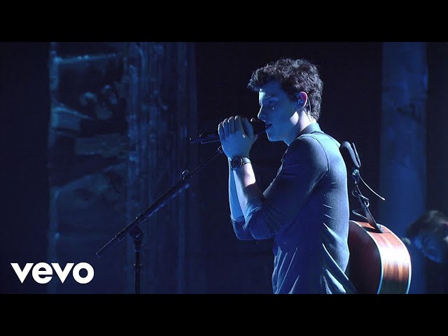 Shawn Mendes - Bad Reputation (MTV Unplugged) class=