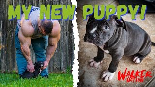 Nick Walker | I GOT A NEW PUPPY! | MEET THOR!