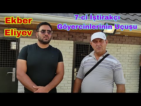 7ci Yariçi Ekber Eliyev Azərbaycan Çempionatı Bakı Goyercinleri Yarışı 23 iyul 2023