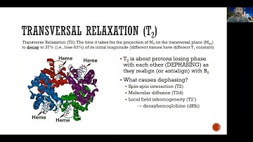 Learn fMRI (w01) 05 Basics of MRI (ii): The RF coil [pt 3] T2 relaxation (UCLA Monti PSYCH265)