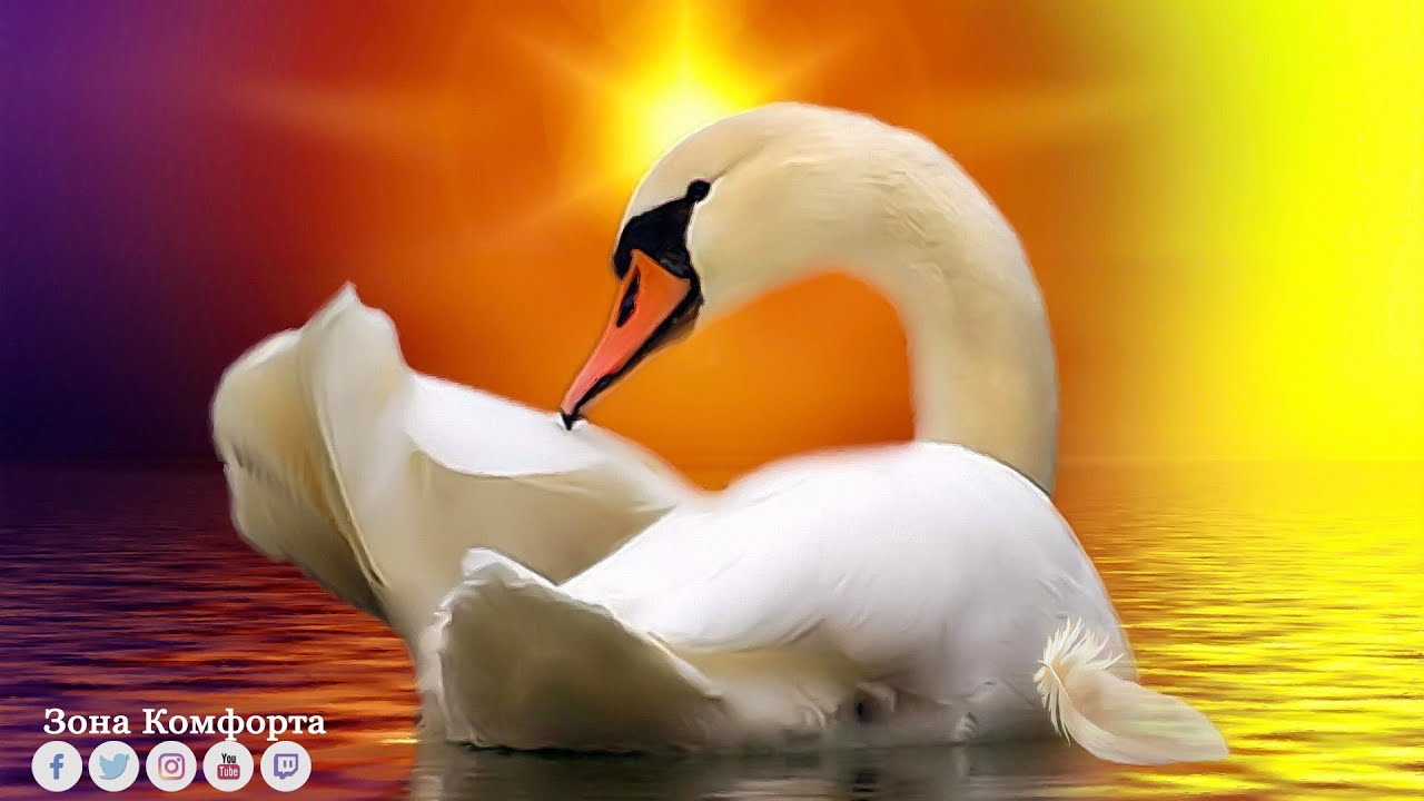 Сборник ЛУЧШИХ Мелодий от которых мурашки по телу! музыка 2023! Музыка для Лечебная Снятия Стресса#3