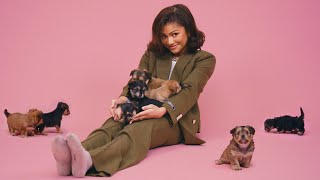 Zendaya: The Puppy Interview image