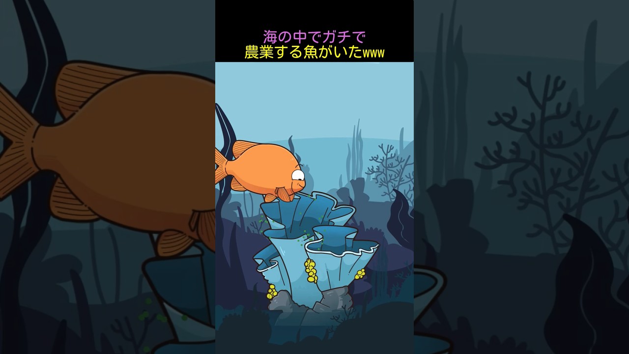 海の中でガチで農業する魚がいたwww