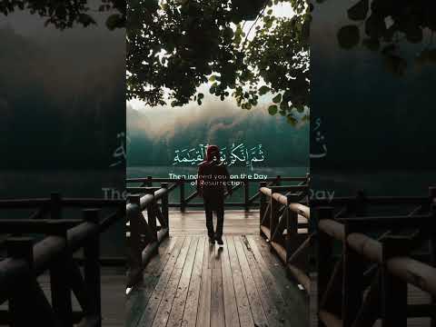 إنك ميت وإنهم ميتون ثم إنكم يوم القيامة عند ربكم تختصمون قران كريم