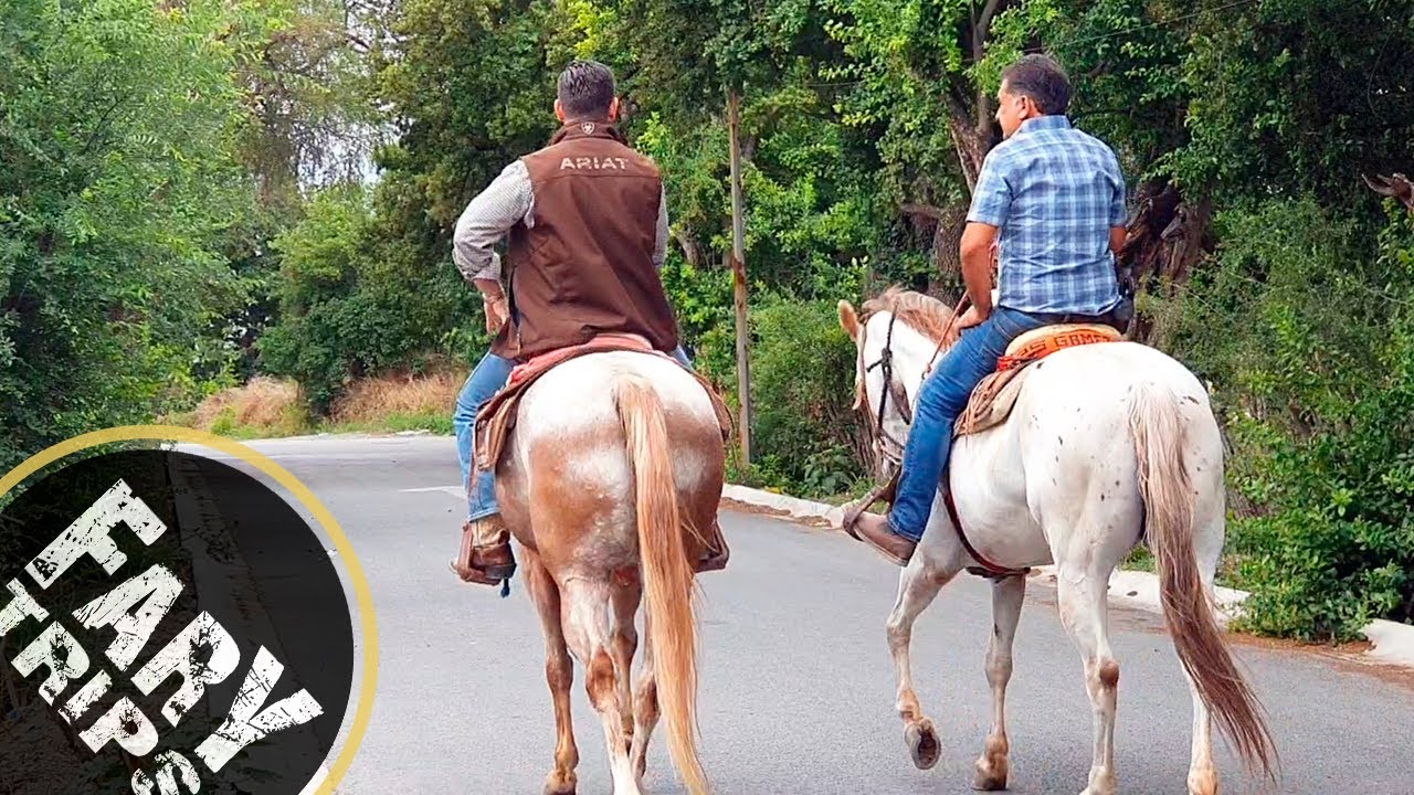Conoce Agua Fría a Caballo 🐎 !!! | Leyendas, Gastronomía y su gente.