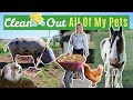 Clean Out ALL of The Animals With me | Lock Down Day 26
