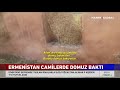 Ermenistan Camilerde Domuz Baktı!