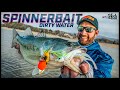 Catch More Spinnerbait Bass | Ott’s 5 Warming Trend Tips