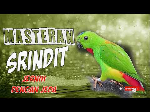 MASTERAN fAVORIT MURAI BATU  LENGKAP || TEMBAKAN SUPER KASAR TAJAM || berjedah 2jam