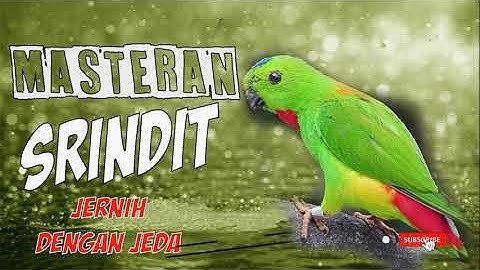 SRINDIT MASTERAN TOP DENGAN JEDA // 1 JAM