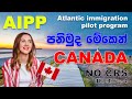 Atlantic Immigration Pilot Program | ඉක්මනින්ම කැනඩා | Canada pilot program 2021 | AIPP | SL TO UK