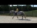 HORSE FOR SALE  -  Popeye-K Mare Cara Bella-K  -  August 2012