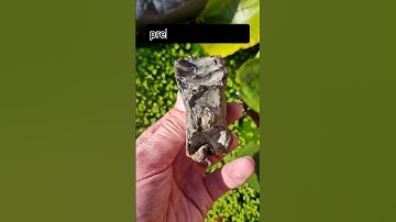 Fossil Hunting for Ichthyosaur Bones! ☠️ #fossilhunting #fossils #shorts #coast #rock #sea #bones