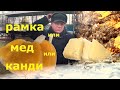 Подкормка пчел Что лучше класть пчелам Медовые рамка Мед или Канди