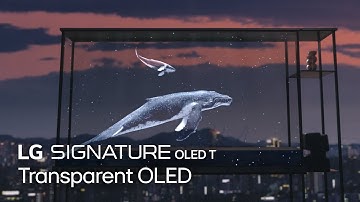 LG SIGNATURE : Transparent OLED | LG