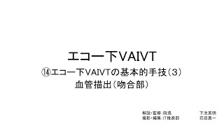 エコー下VAIVT（エコー下VAIVTの基本手技３：血管描出（吻合部）