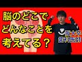わかりやすい!!脳(大脳)の働き どこでどんなことを考えてる? 大脳機能局在 神経の生理③【解剖生理学24】
