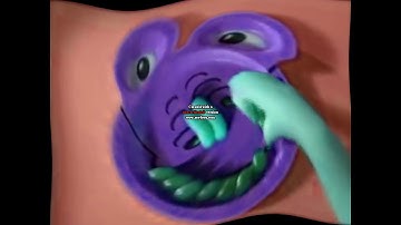 zoopals in hue ripple swirl