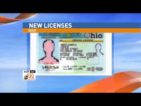 ohio license driver look