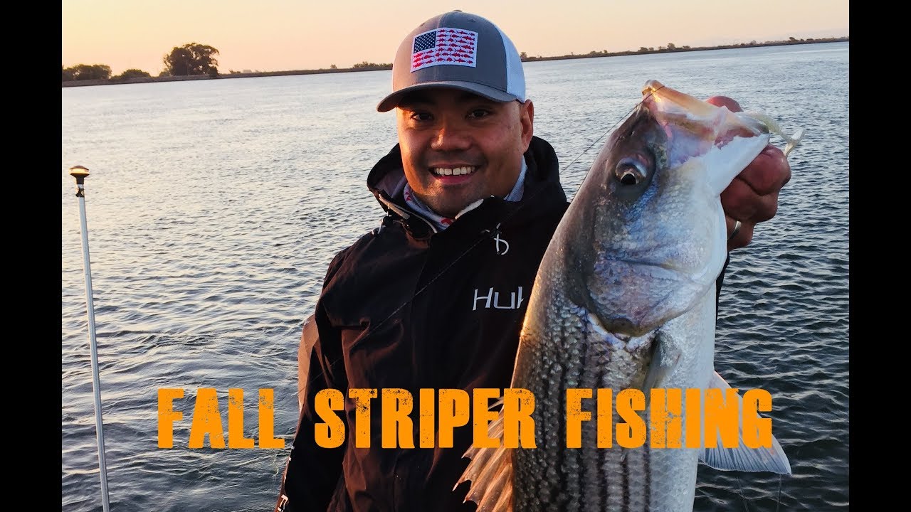 Striper Fishing California Delta. October 2017. YouTube