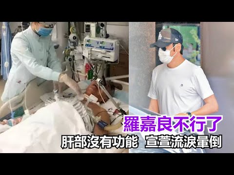 羅嘉良不行了，言曝光，肝部沒有功能，宣萱流淚暈倒，財產真相讓人流淚對過---H娛樂#羅嘉良