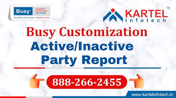 Active / Inactive Party Tracker - Busy Accounting Software Customization