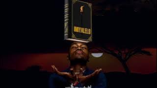 Nomndayi Ngiyabonga (Visualiser)