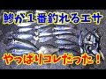 【最強】の餌でアジを釣る！