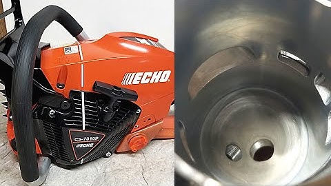 Echo cs 7310p Modified!!