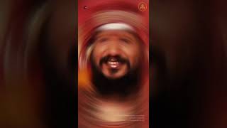 Experience S Wisdom In