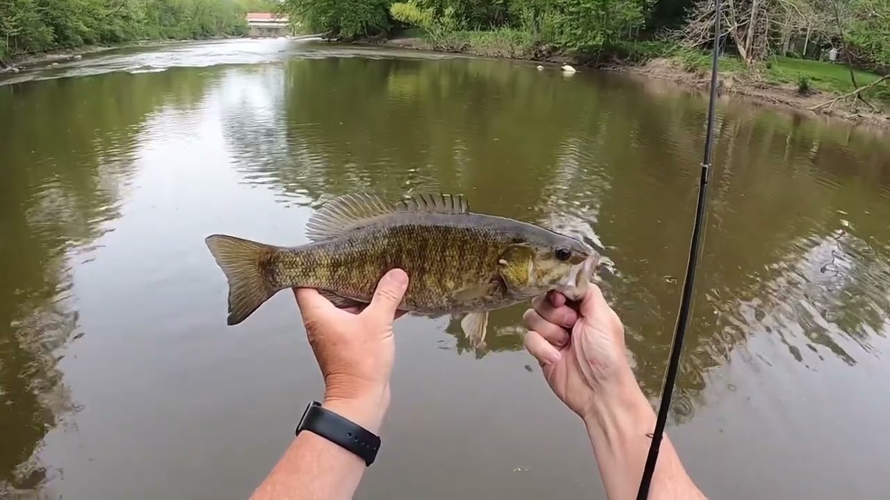 Beautiful Spring Day On The Bass Stream    #fishing