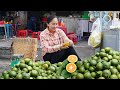 Harvest orange and bring them to the market sell  cooking  emma daily life