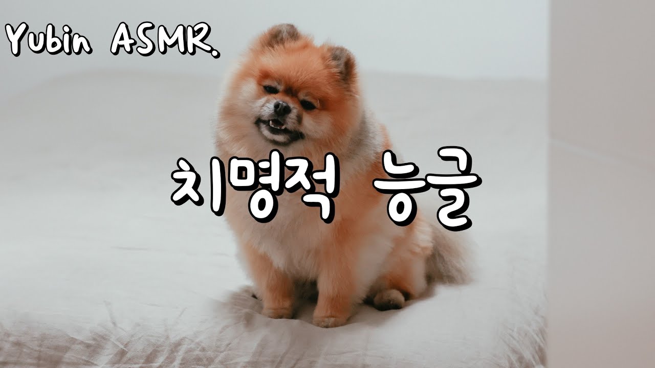 남자 ASMR  치명적인 능글맞은 연하 남친 (능빈 모드)(꽁냥꽁냥)(치명)